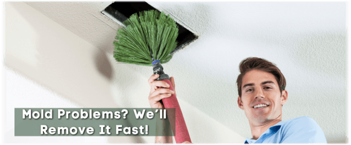 Air Duct Mold Removal in Oak Park IL