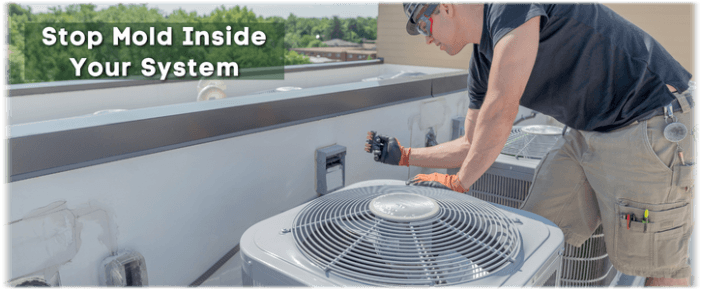 HVAC Mold Removal Oak Park IL